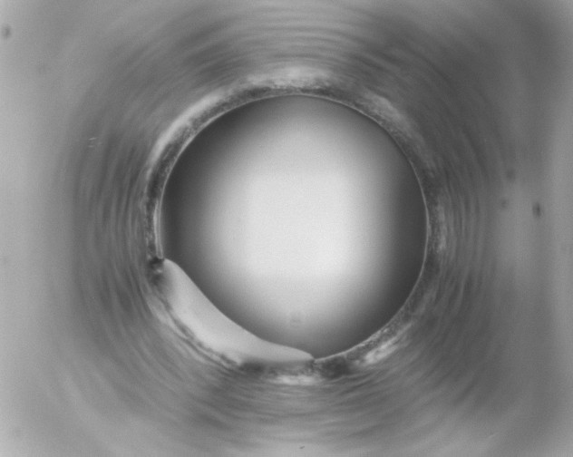 X0000052650392200507221847