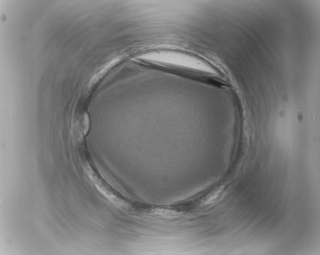 X0000052650393200507221847