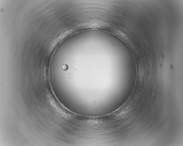 X0000052650394200507221847