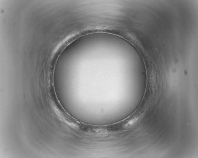 X0000052650395200507221847