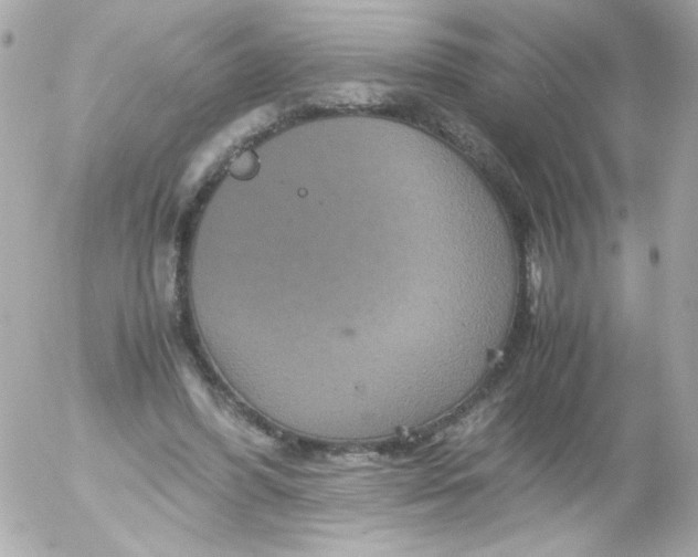 X0000052650396200507221847