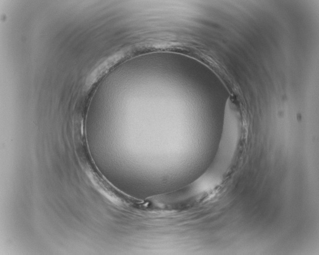 X0000052650397200507221847