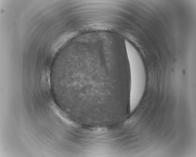 X0000052650398200507221847