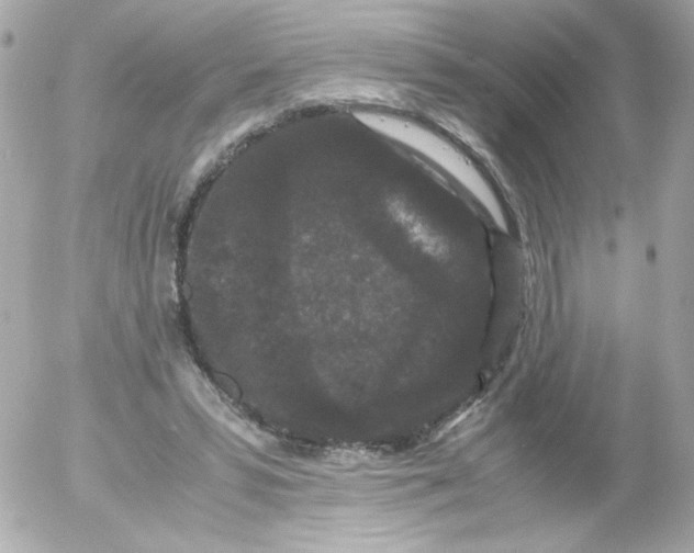 X0000052650399200507221847