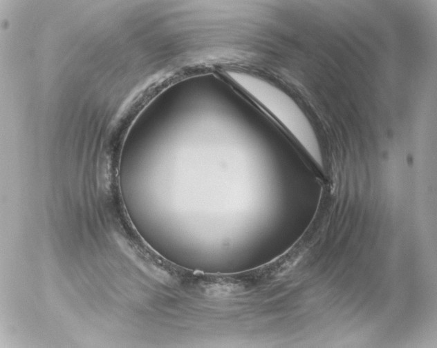 X0000052650400200507221847