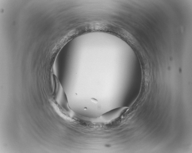 X0000052650401200507221847