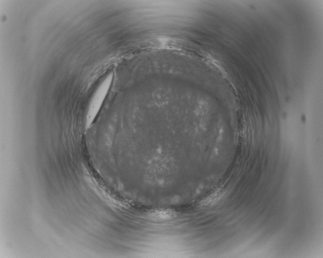 X0000052650402200507221847