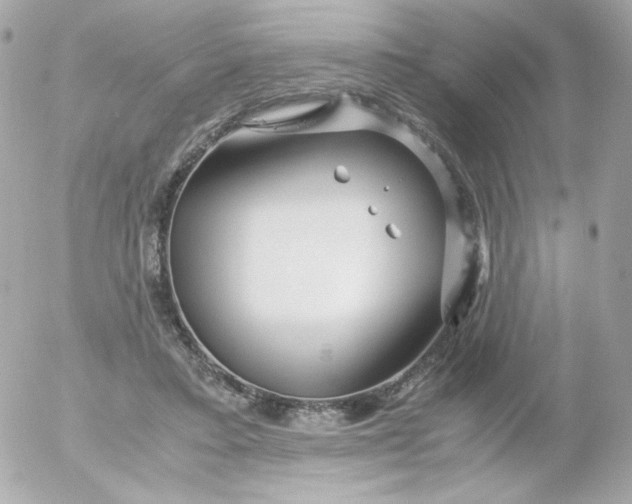 X0000052650403200507221847