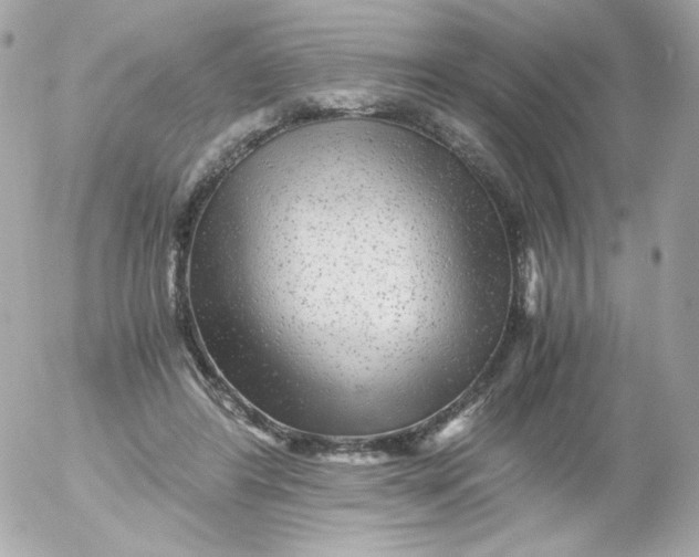 X0000052650404200507221847