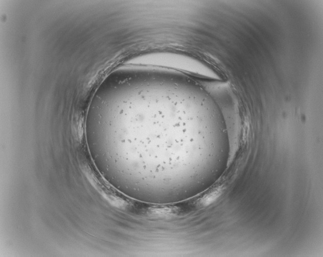 X0000052650405200507221847