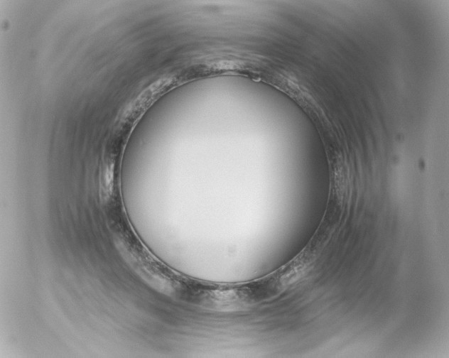 X0000052650406200507221846