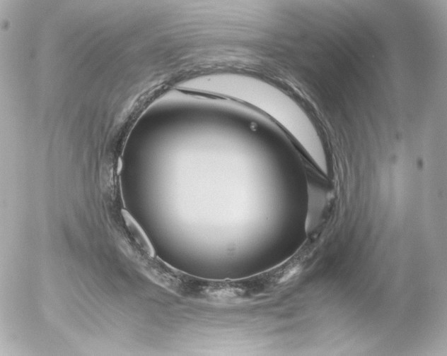 X0000052650407200507221846