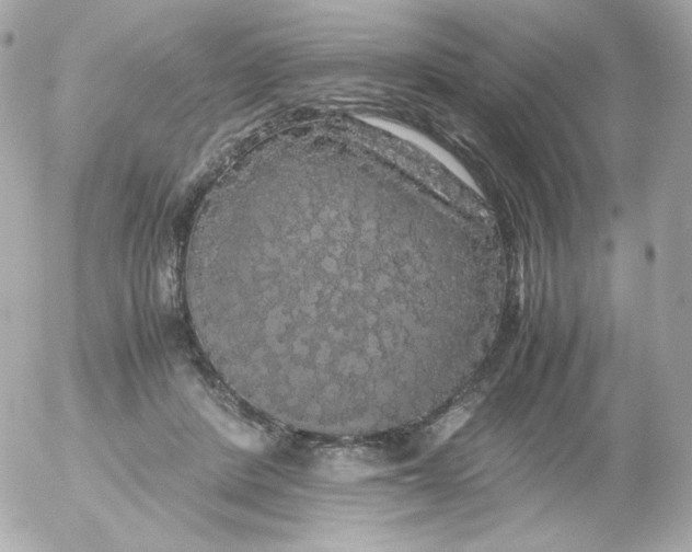 X0000052650408200507221846