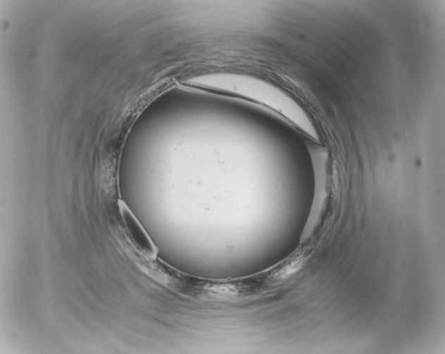 X0000052650409200507221846