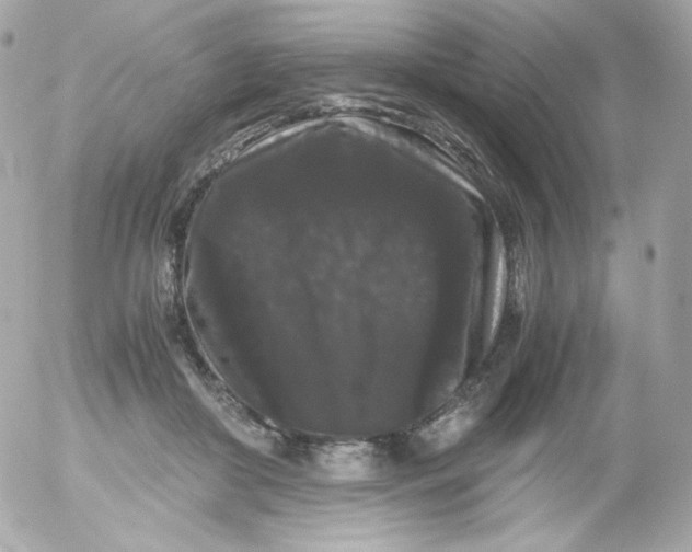 X0000052650410200507221846