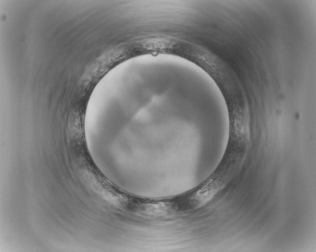 X0000052650411200507221846