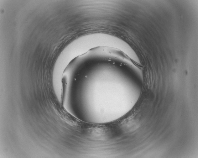 X0000052650412200507221846