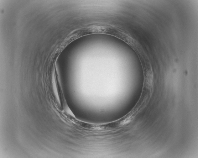 X0000052650413200507221846