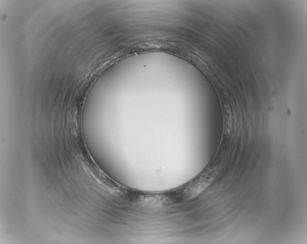 X0000052650414200507221846