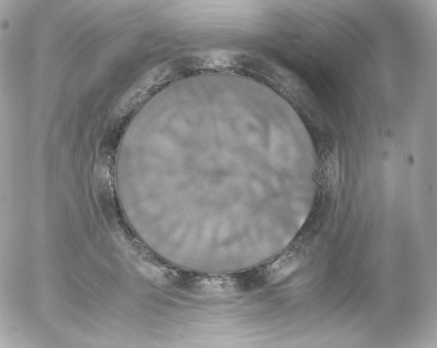 X0000052650415200507221846