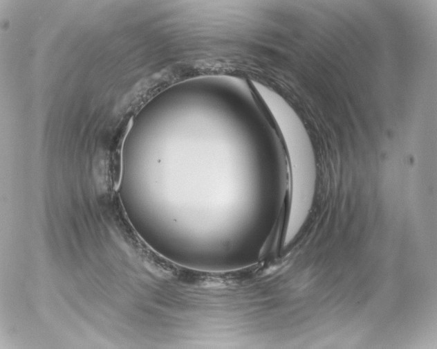 X0000052650416200507221846