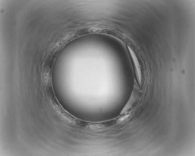 X0000052650417200507221846