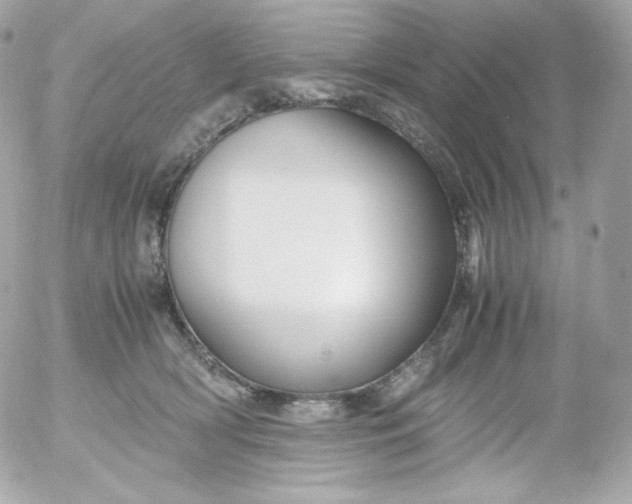 X0000052650418200507221846