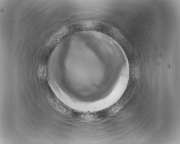 X0000052650419200507221846