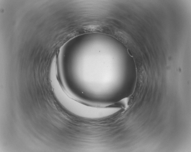 X0000052650420200507221846