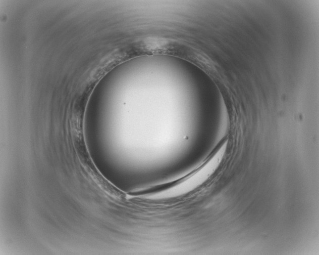 X0000052650421200507221846