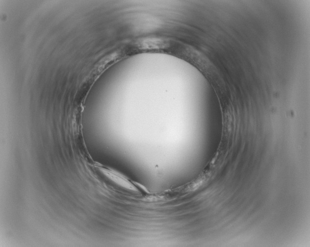 X0000052650422200507221846