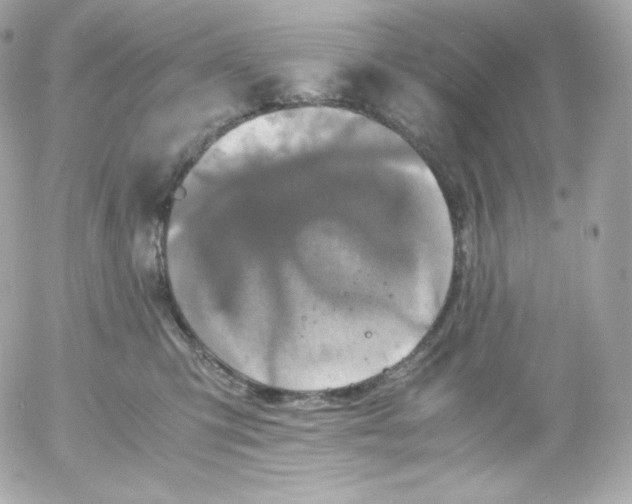 X0000052650423200507221846