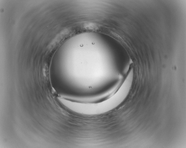 X0000052650424200507221846