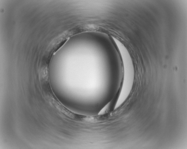 X0000052650425200507221846