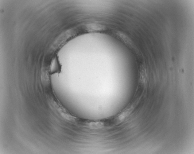 X0000052650426200507221846