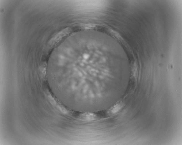 X0000052650427200507221846