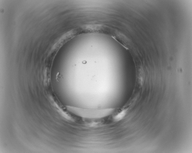 X0000052650428200507221846