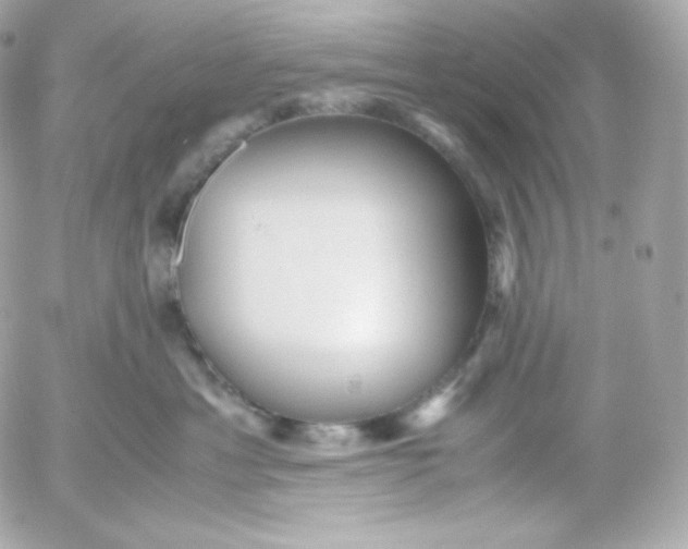 X0000052650429200507221846