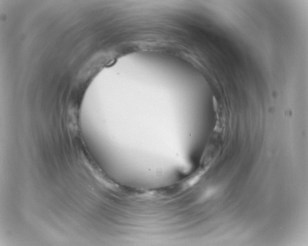 X0000052650430200507221846