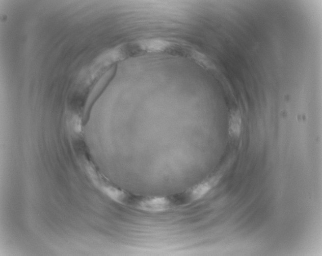 X0000052650431200507221846