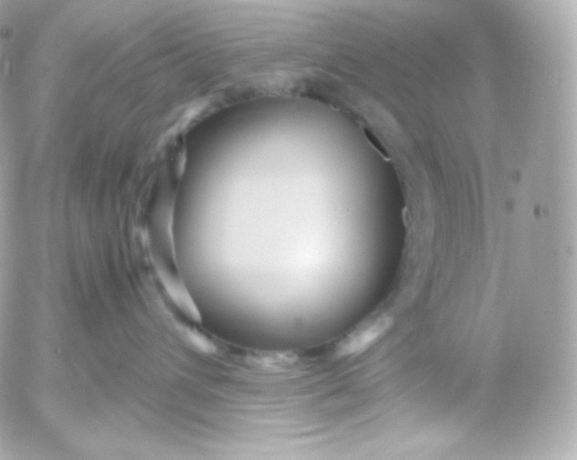 X0000052650432200507221846