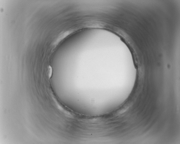 X0000052650433200507221845