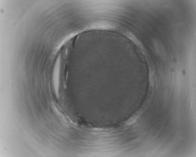 X0000052650434200507221845