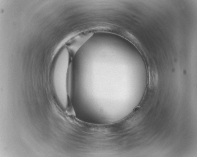 X0000052650435200507221845