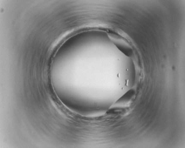 X0000052650436200507221845