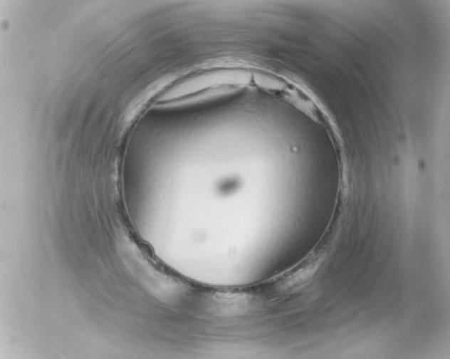 X0000052650437200507221845