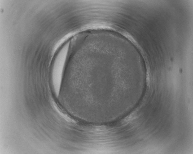 X0000052650438200507221845