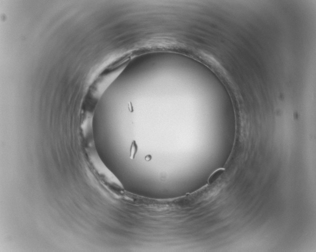 X0000052650439200507221845