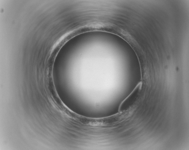 X0000052650440200507221845