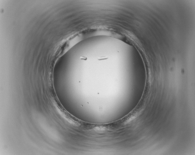 X0000052650441200507221845